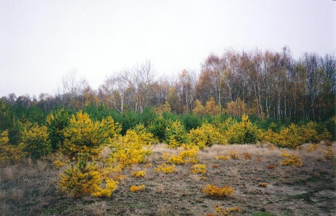 General view of the confluence (towards NE)