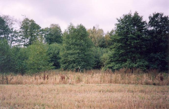 General view of the confluence (towards W, ca. 60 m away)