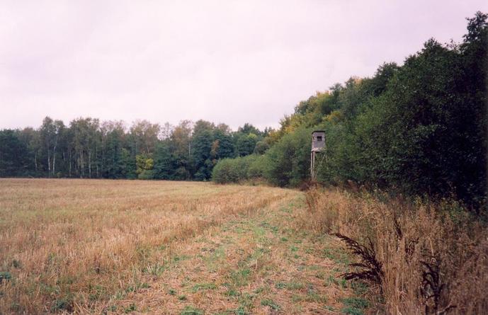 View towards S from the confluence