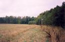 #5: View towards S from the confluence