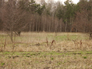 #1: General view / Widok ogólny