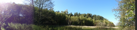 #1: Panoramic view 5 meters east of the point