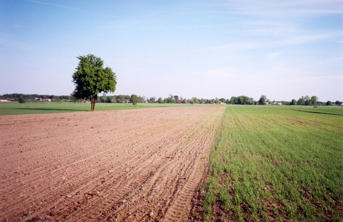 General view of the confluence (towards S)