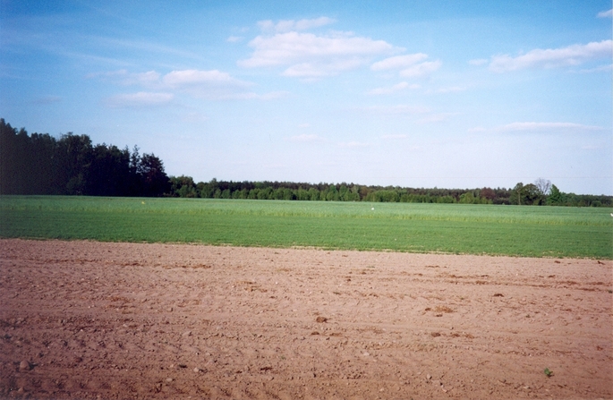 View towards E from the confluence