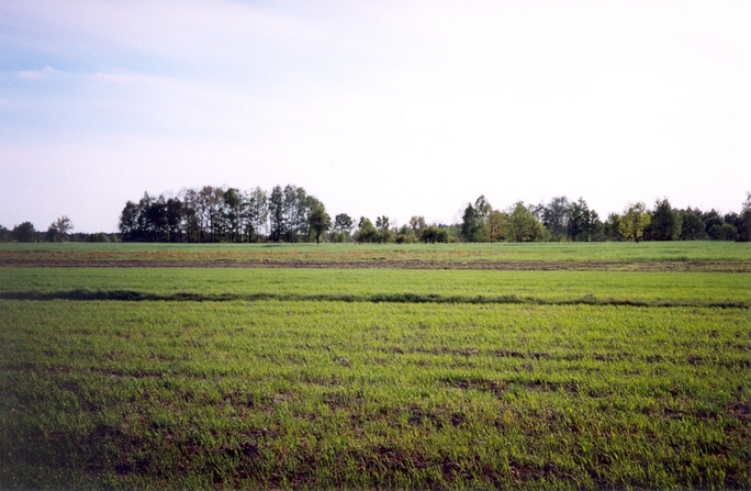 View towards W from the confluence