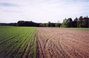 #3: View towards N from the confluence