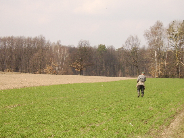 Farmer on field / Rolnik na polu