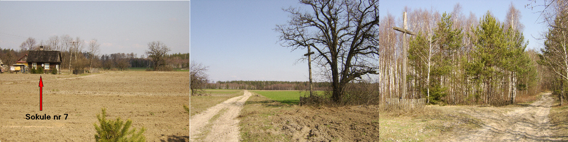 Roadside crosses / przydrożne krzyże