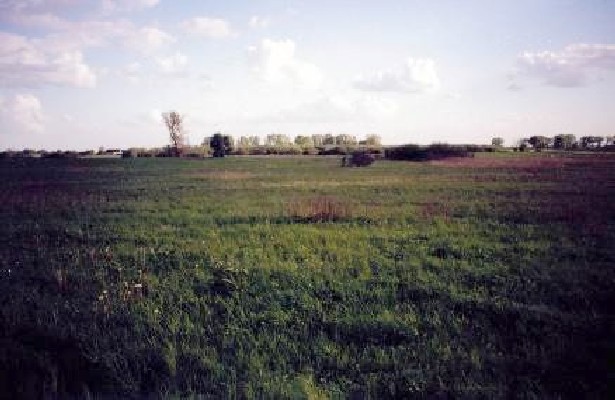 view of the confluence area