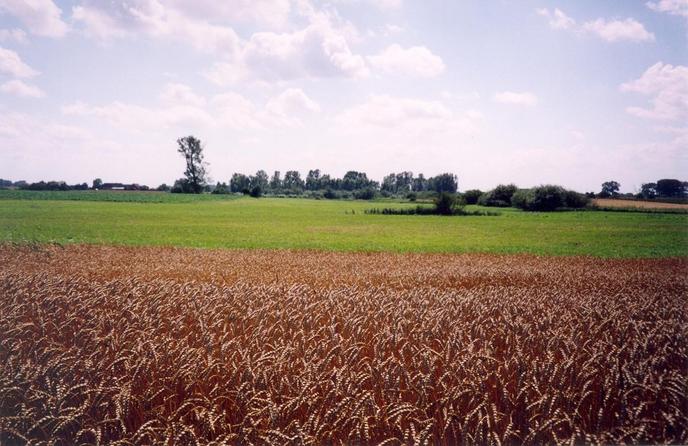 View towards S from the confluence