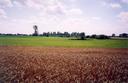 #2: View towards S from the confluence