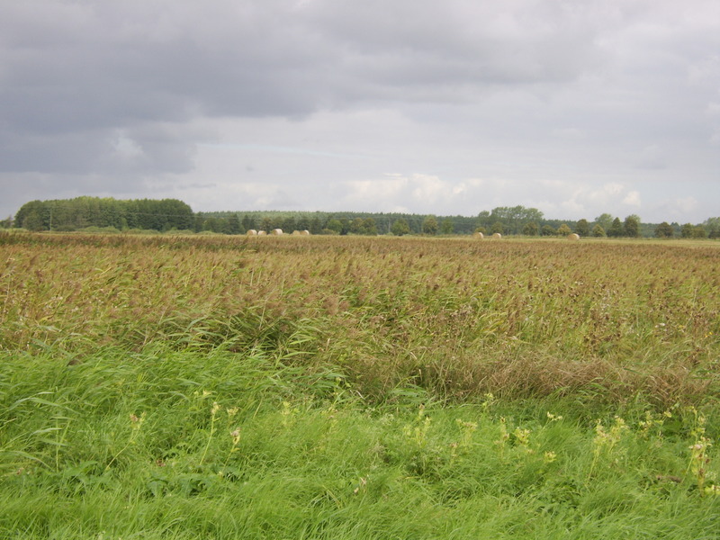 General view (towards N) - Widok ogólny (kierunek Pn) 