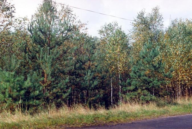 General view of the confluence (towards SW)