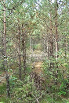 #1: General view of the confluence (towards N)