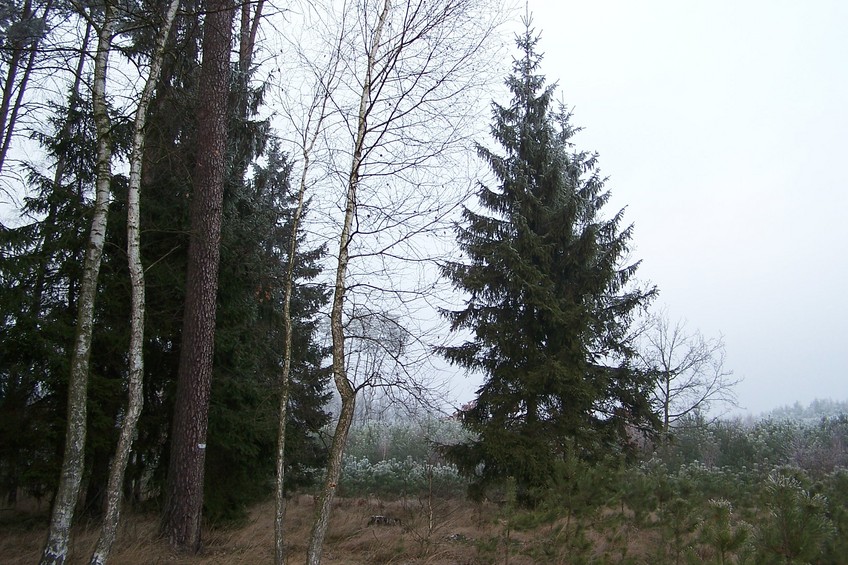 General view of the confluence (towards N)