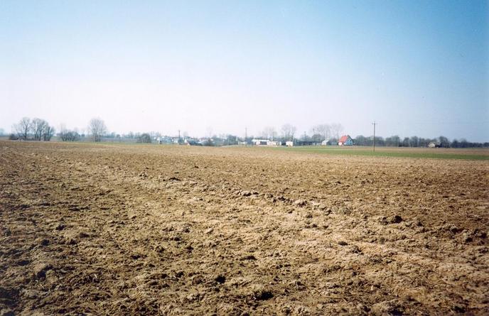 View towards W from the confluence