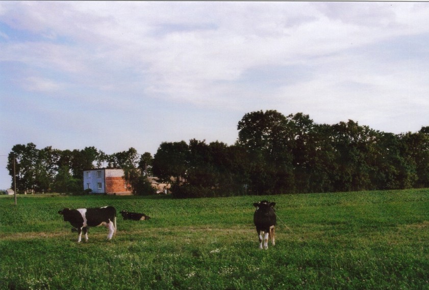 General view towards S-W - Widok ogólny w kierunku Pd-Z