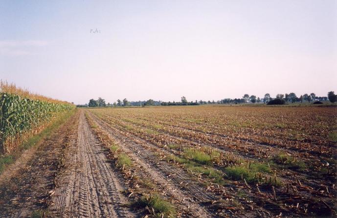 View towards S from the confluence