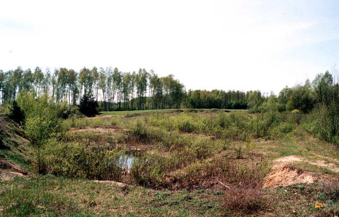 a dried out pond