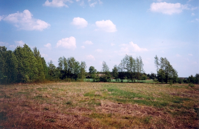 View towards E from the confluence