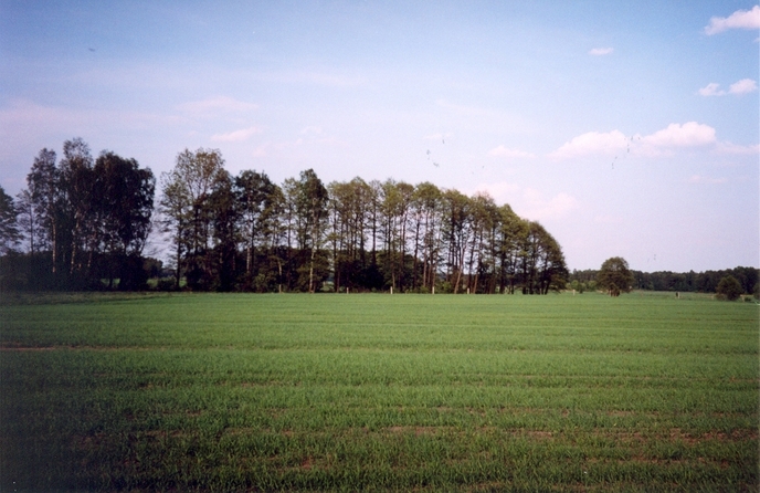 General view of the confluence (towards E)