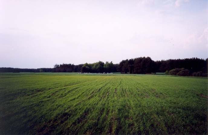 View towards N from the confluence (with illegal grabage dump)