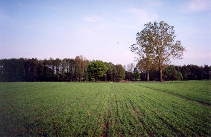 View towards S from the confluence