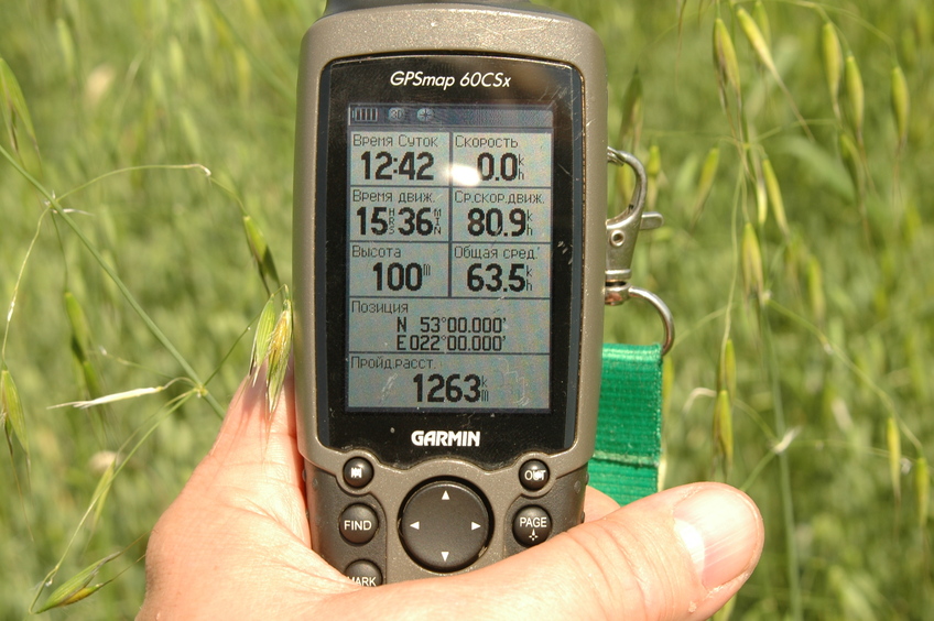 GPS reading