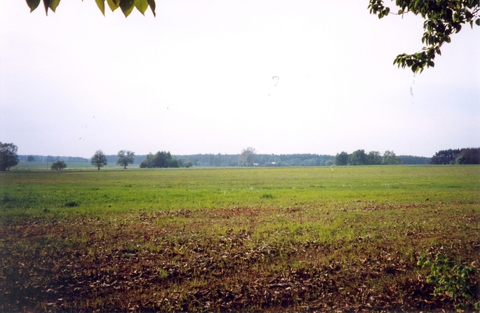 View from the road towards the confluence (NW)