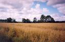 #2: View towards SW from the confluence