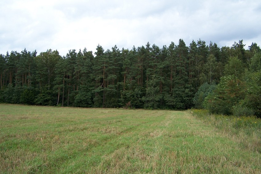 General view of the confluence (towards NE)