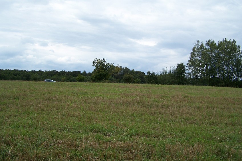 View towards W from the confluence