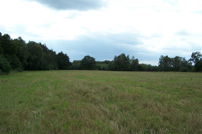 View towards S from the confluence