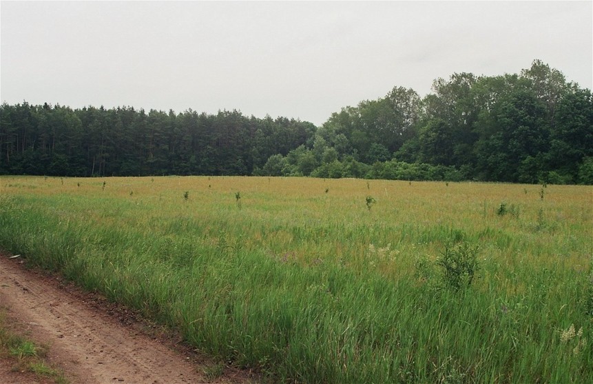 the confluence area from 150m, looking east