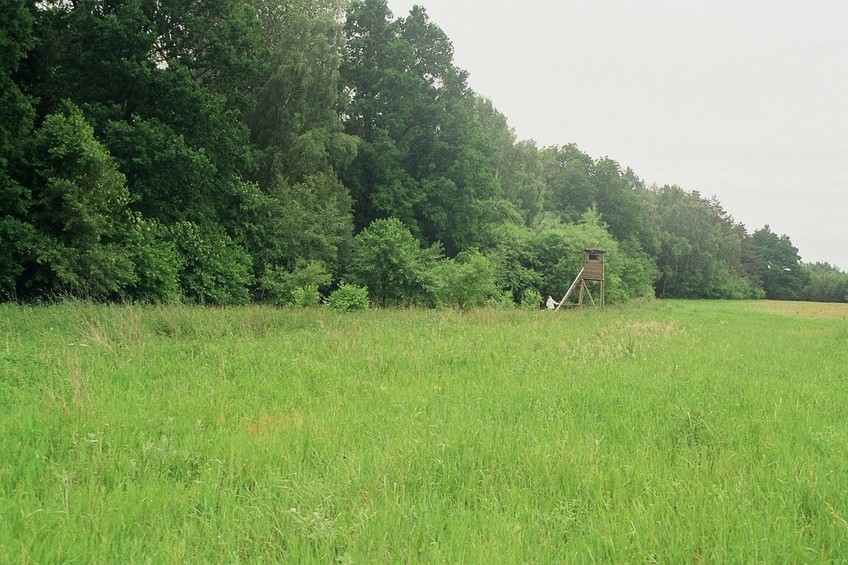 looking south from the CP