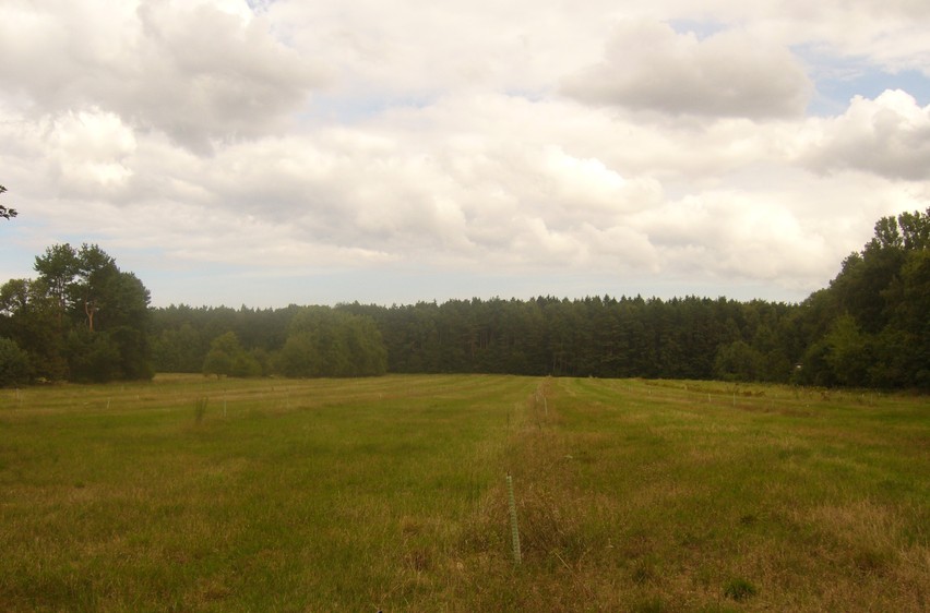 General view - Widok ogólny