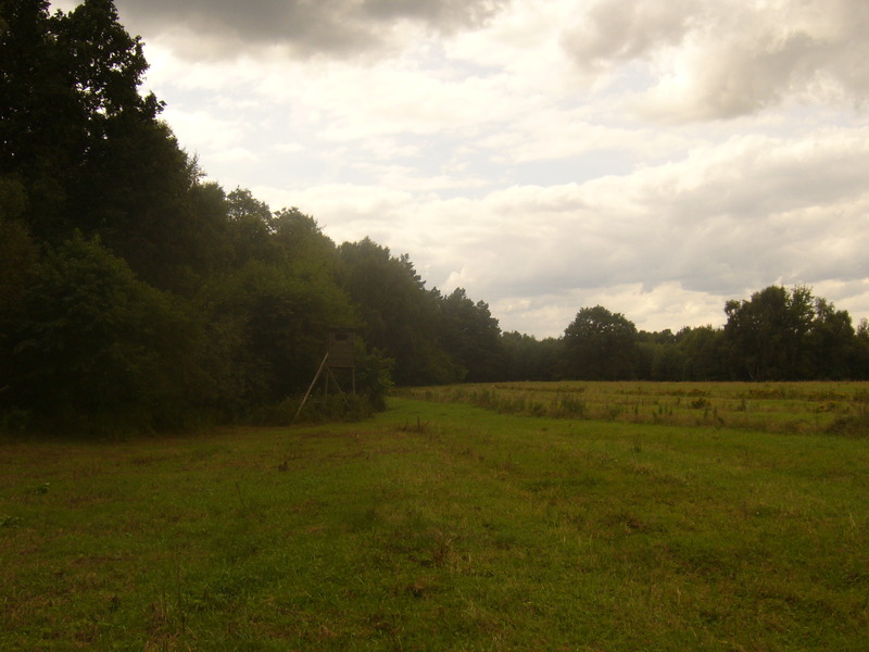 South view - Południe