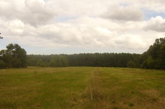 #1: General view - Widok ogólny