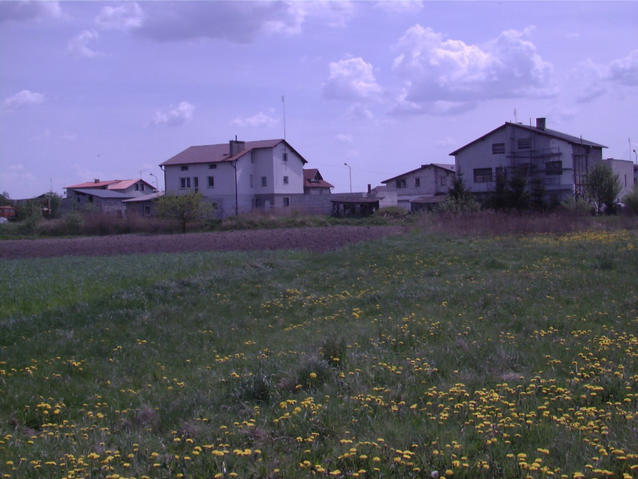 view west - widok na zachod