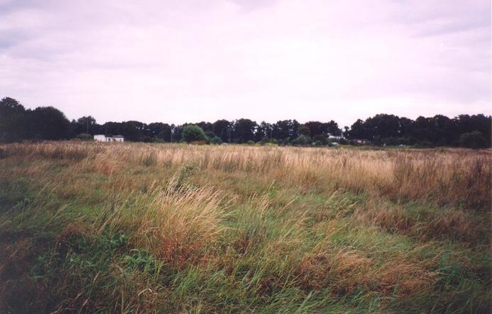 View towards NE from the confluence