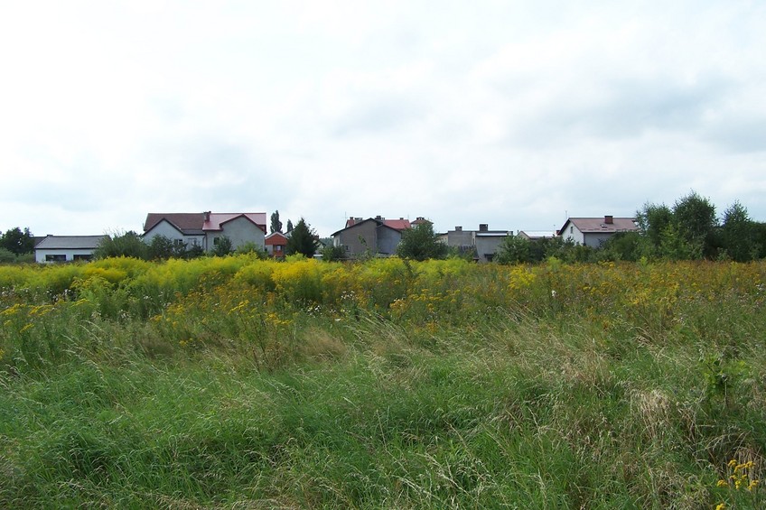 View towards W from the confluence