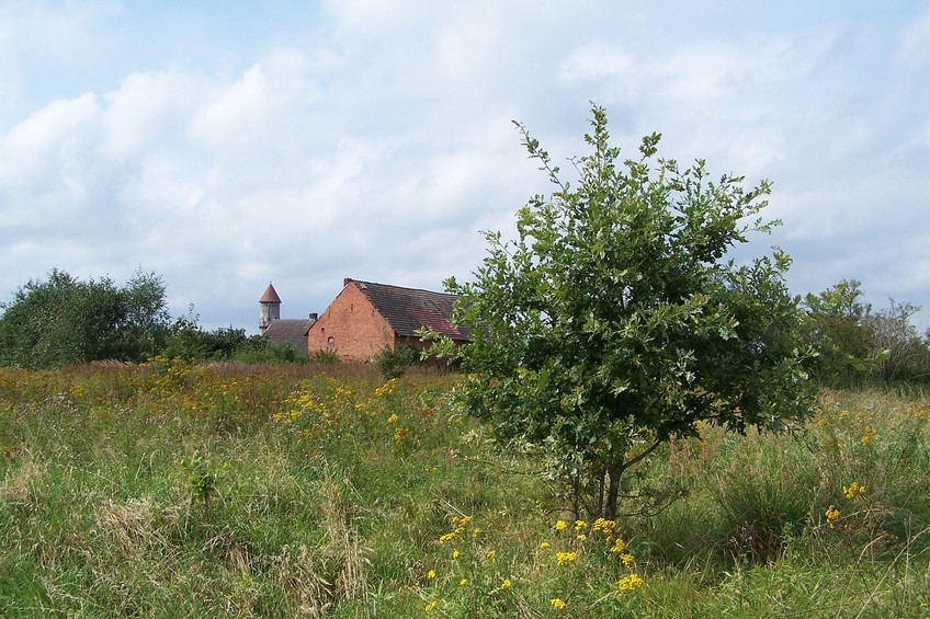 View towards NW from the confluence