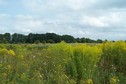 #4: View towards NE from the confluence