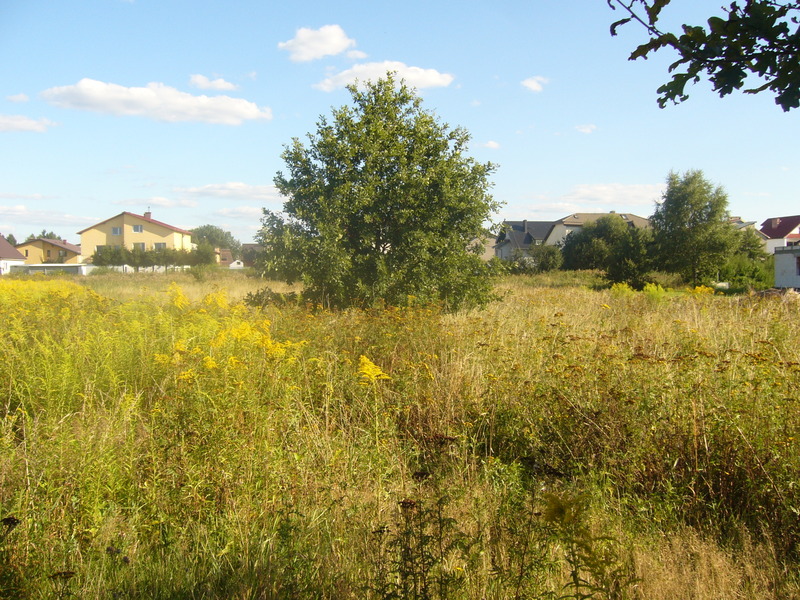 General view - Widok ogólny