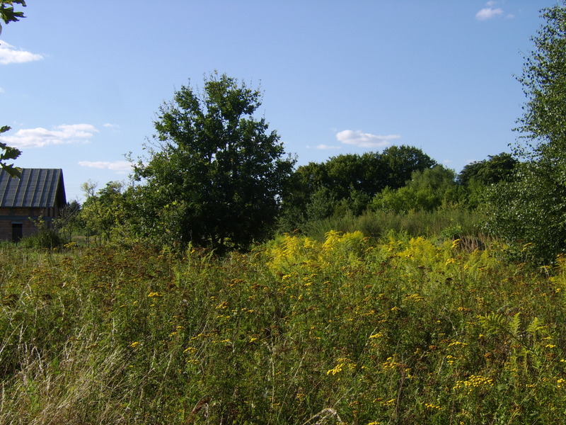 West view - Zachód