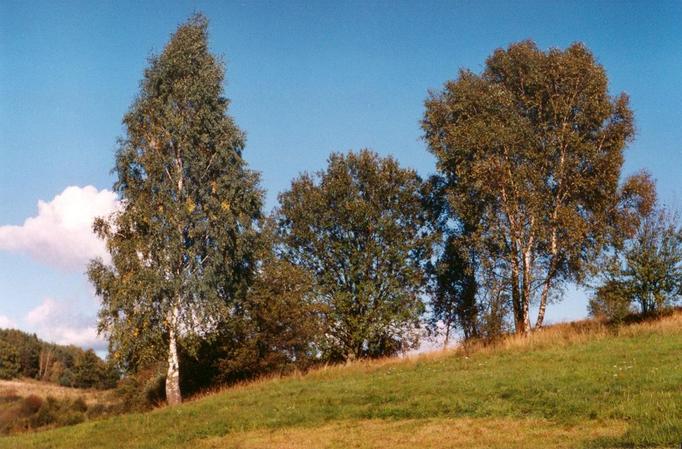 General view of the confluence (towards SE)