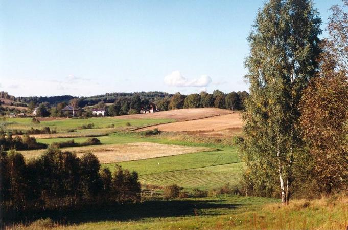 View towards NE from the confluence