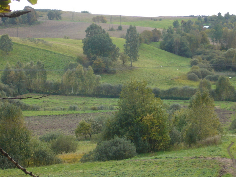 View to the CP from the route - Widok z drogi na przecięcie