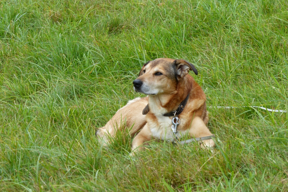 Pixel oczekujący az skończę pomiary / Pixel is waiting to me