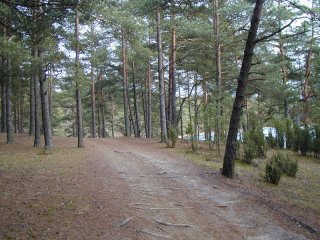 #1: This path supposedly runs through the confluence